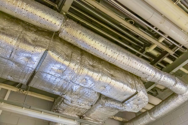 Best Affordable HVAC Duct Cleaning  in Vermillion, SD